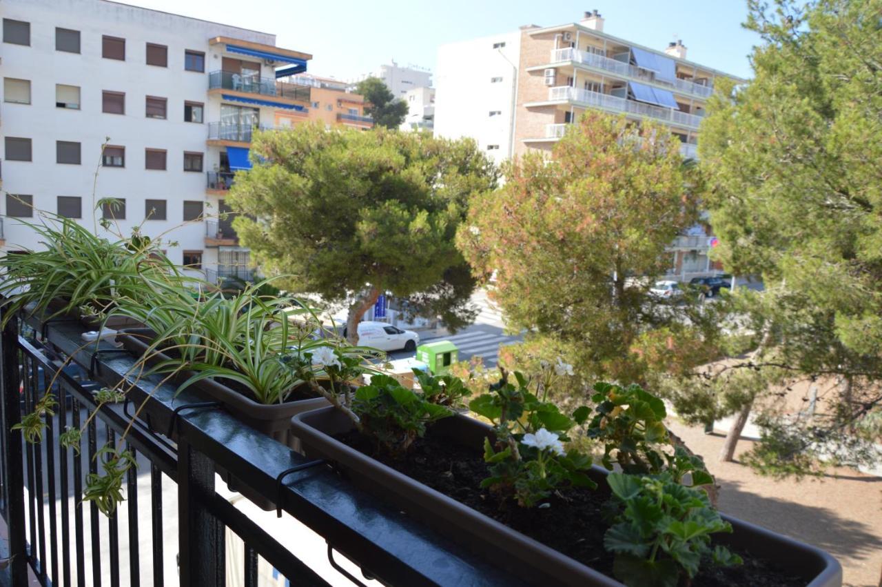 Habitaciones Compartidas En Un Apartamento 萨洛 外观 照片