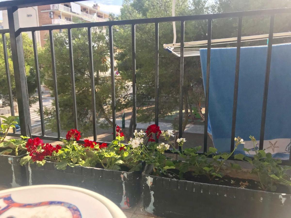 Habitaciones Compartidas En Un Apartamento 萨洛 外观 照片